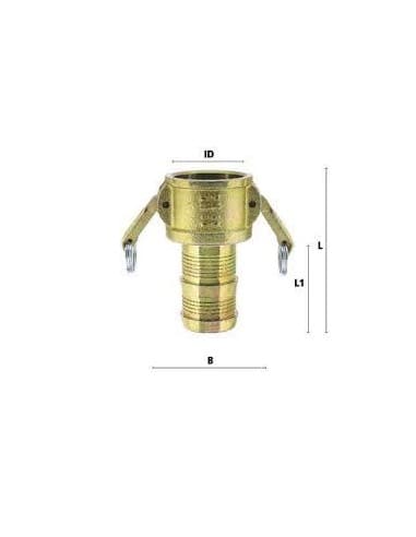 RACOR LUDECKE MST-25 H. PARA MANGUERA 1" , 1 MANILLA