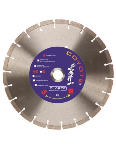 DISCO DIAMANTE 300 MM PASTILLA 10 mm. FG