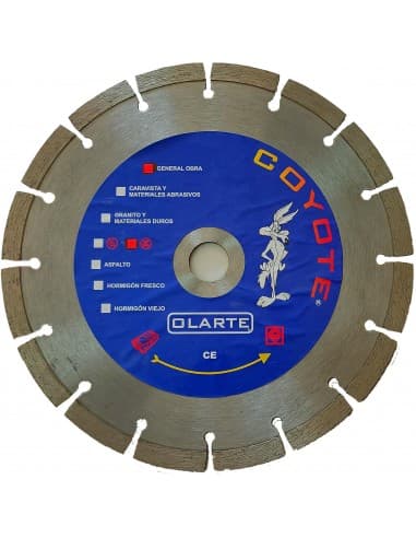 DISCO DIAMANTE 230 MM EJE 22.2 FG